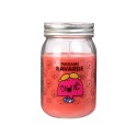 BOUGIE PARFUMEE FRAISE BOCAL MR MME