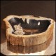 cendrier en bois pétrifié