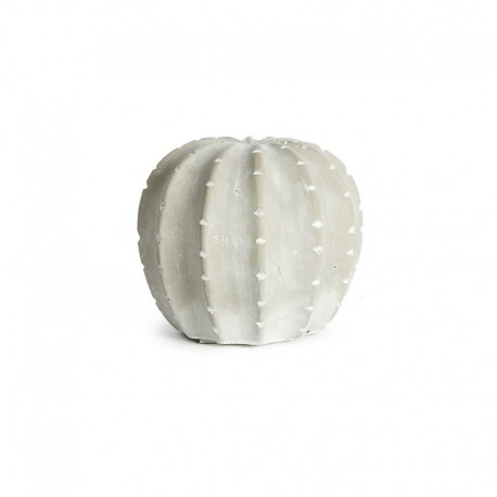 Cactus Ciment céram